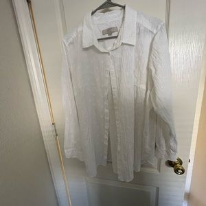Loft Plus Button Down